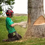 Abattage d'arbres 85 Vendée
